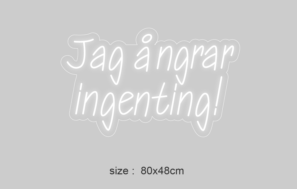 "Jag ångrar ingenting!"Led neonskylt.