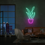 "Plante Svigermorstunge" Led neonskylt